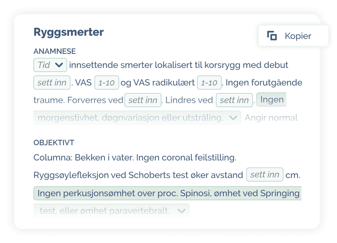 Rygsmerter eksempel